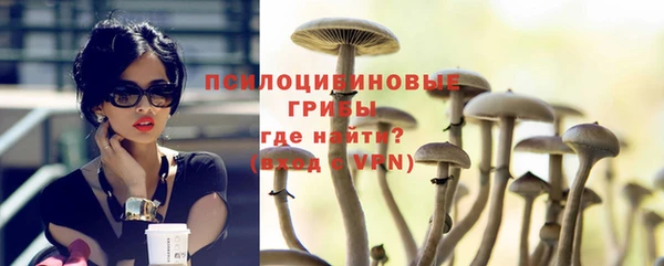 сатива Инсар