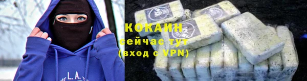 прущая мука Каменногорск