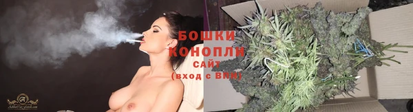 сатива Инсар