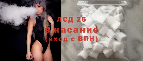 сатива Инсар