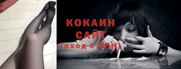 сатива Инсар