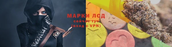 сатива Инсар