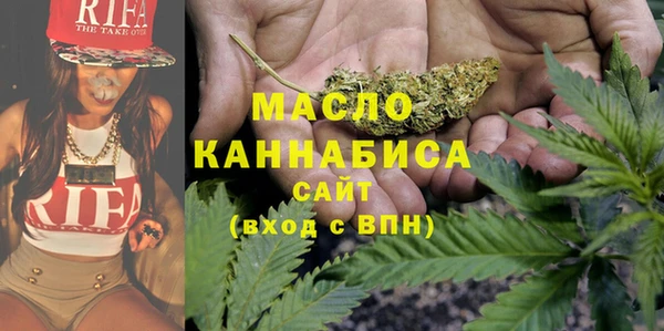 хмурый Каменка