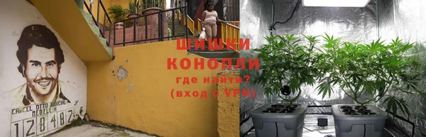 бутират Иннополис