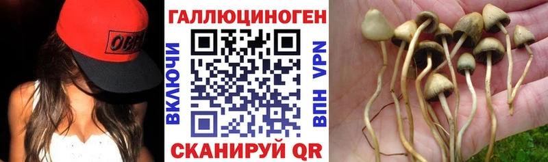 Купить  Зеленодольск  Галлюциногенные грибы ЛСД 